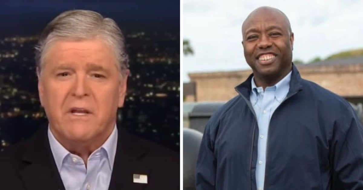 Tim Scott opens up about 'vile and disgusting' comments of liberal media about him on 'Hannity' (@foxnews/YouTube, @votetimscott/Twitter)