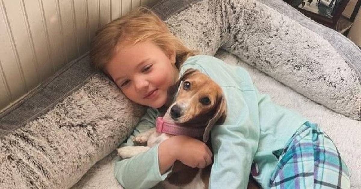 Lennyn Lilic died in a car crash (Video screengrab/KSLTV)