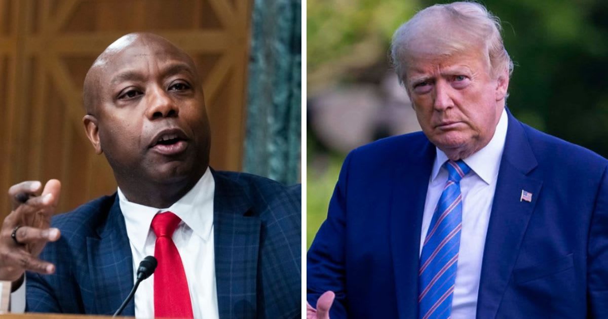 Senator Tim Scott said that voters have more to worry about than Donald Trump's legal matters (Getty Images)