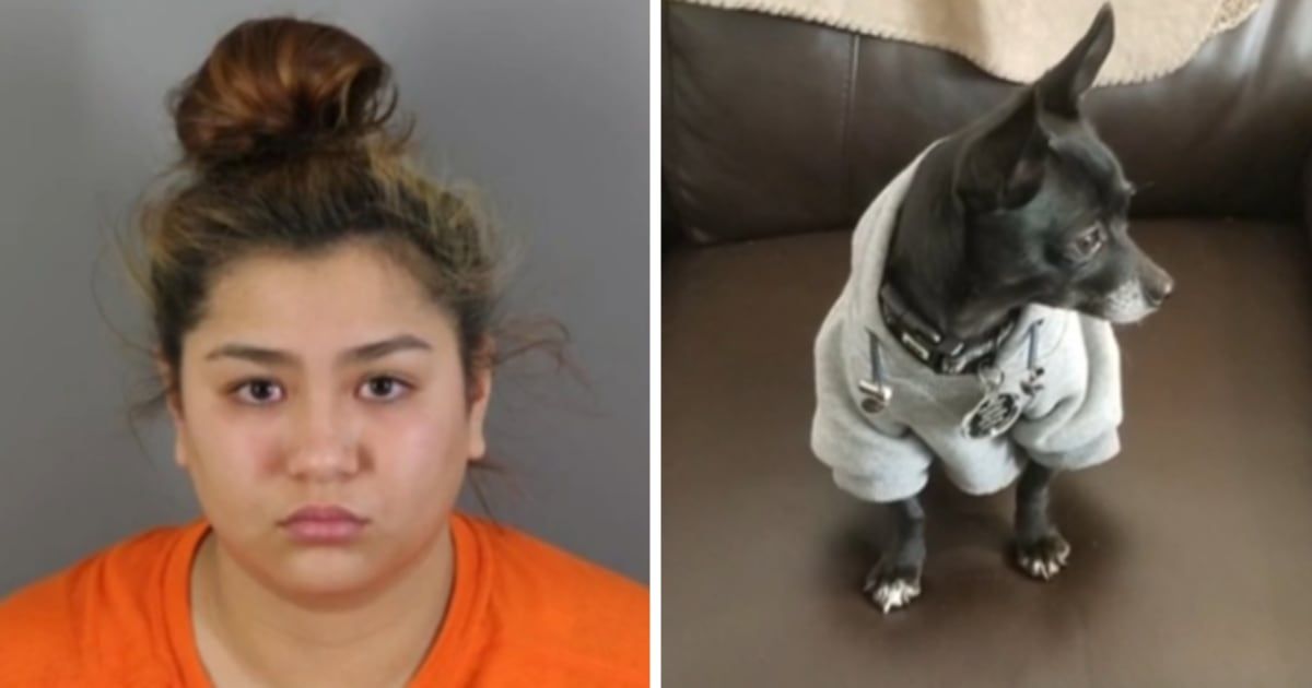 Kielee Sonnemann, 18, was taken into custody on January 29 and charged with one count of mistreatment of animals causing death (Waukesha County Jail and Screenshot/CBS 58)