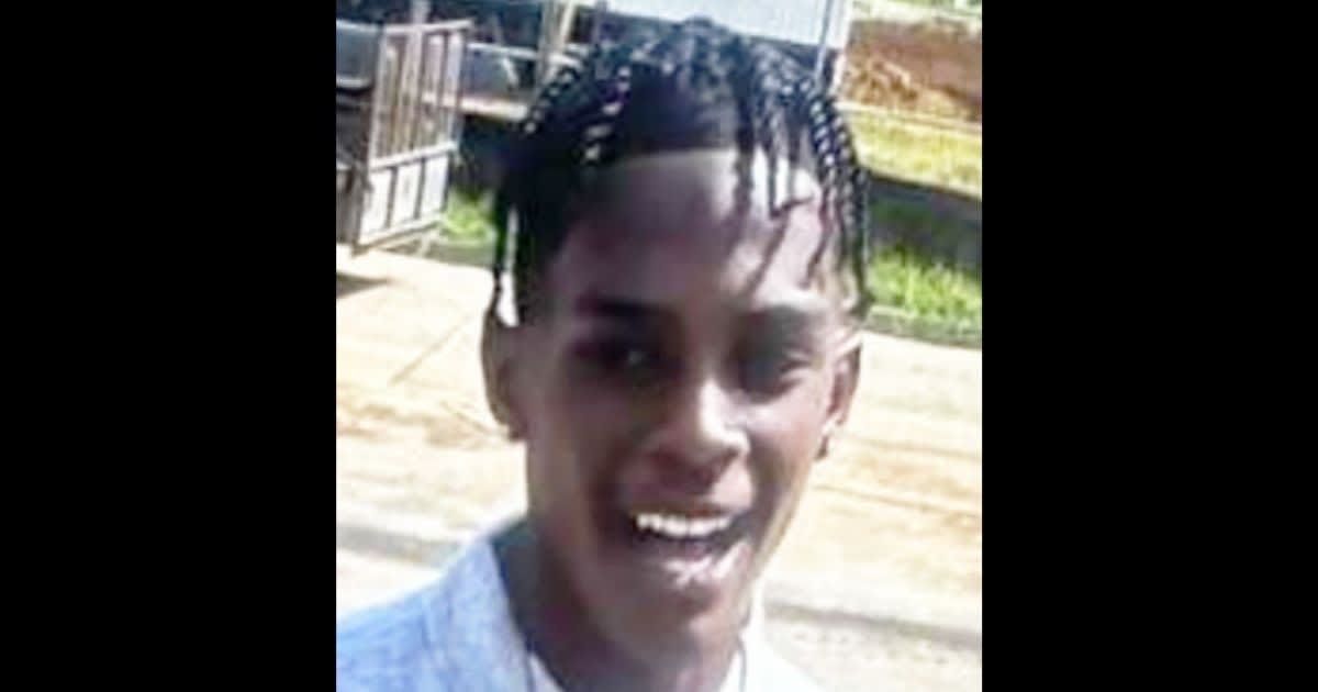 Michael Anthony Cole Jr was reported missing after last being seen on January 25 (Alabama Law Enforcement Agency)