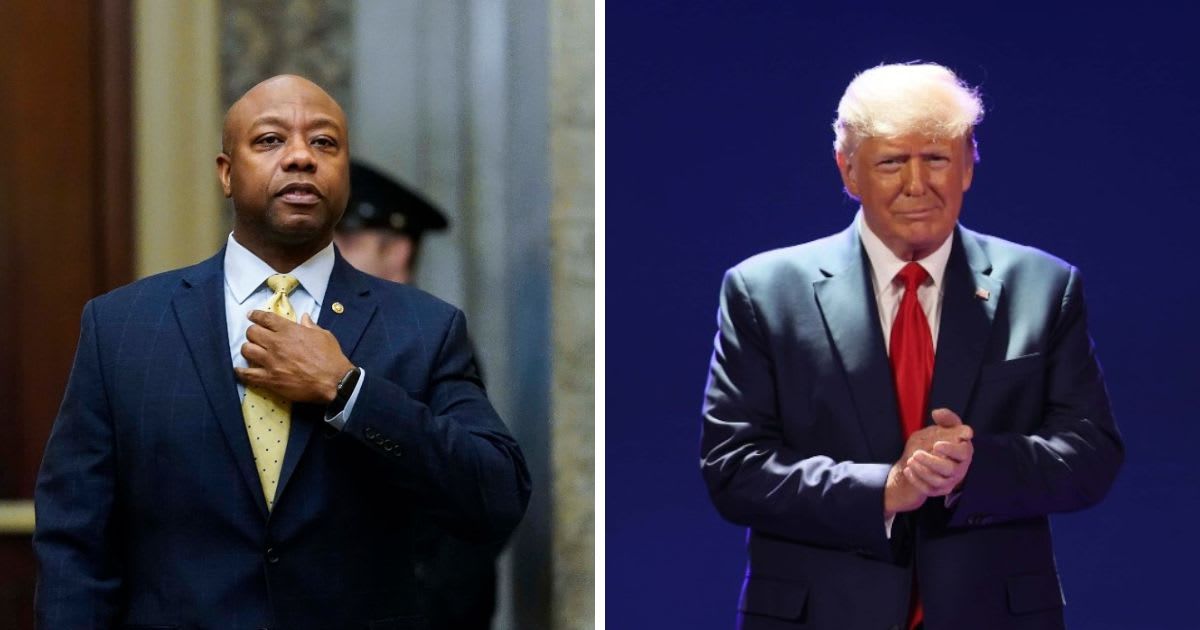 Tim Scott says his main focus is to ensure Donald Trump's win (Getty Images)