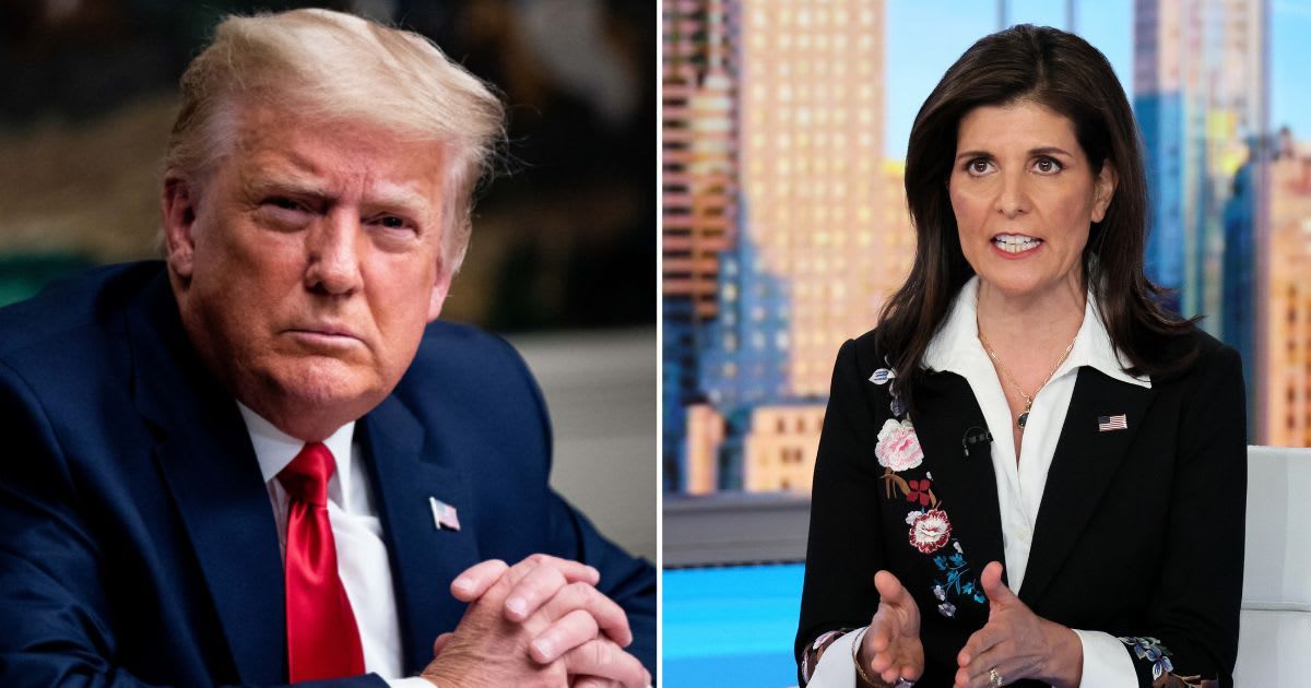 Donald Trump questioned Nikki Haley's persistence to remain in the GOP presidential race despite recent defeats (Getty Images)