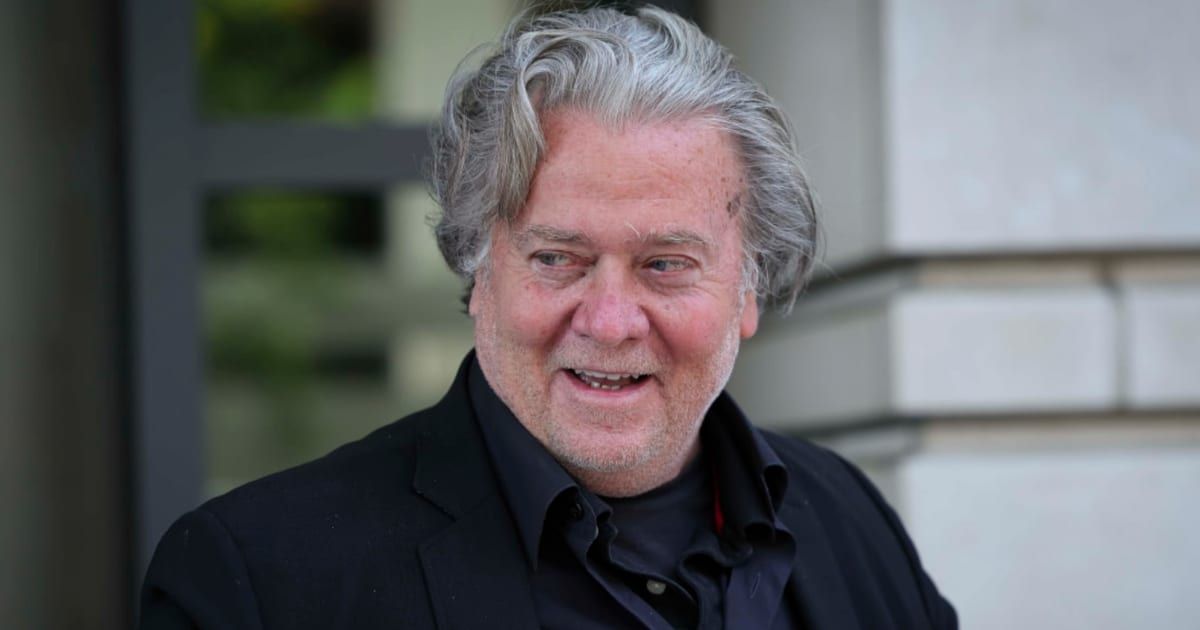 Steve Bannon alleged that Democrats 'stole' the recent New York special election (Win McNamee/Getty Images)