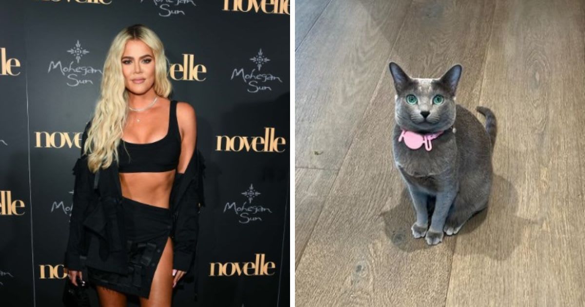 Khloe Kardashian slammed for allegedly FaceTuning her cat (Getty Images and Instagram/@khloekardashian)
