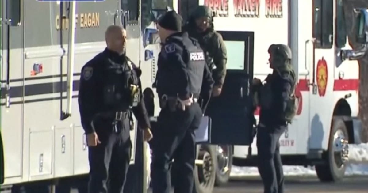 Two police officers and a paramedic were killed responding to a domestic violence call in Minnesota (Daily Mail screengrab)