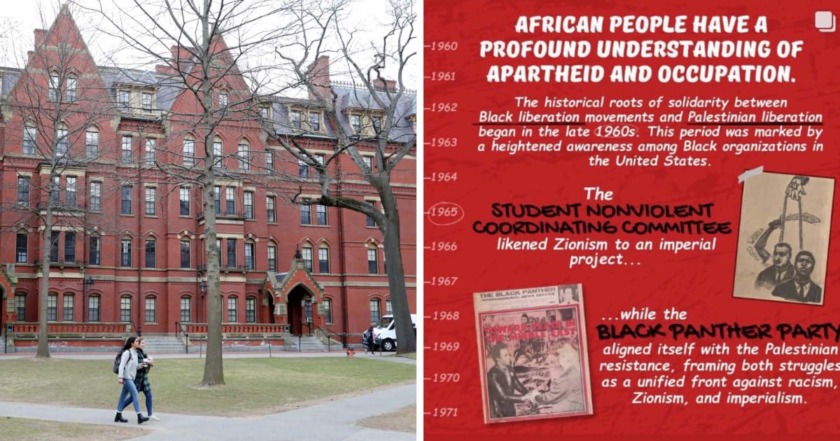 The post showed a decades-old cartoon with a Jewish figure hanging black and Arab men (Getty Images, Harvard Faculty and Staff for Justice in Palestine/Instagram)