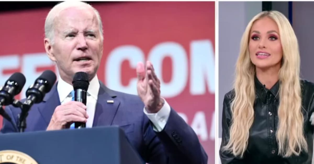 Tomi Lahren seems convinced that Joe Biden will not be the Democrat presidential nominee (@FoxNews/YouTube)
