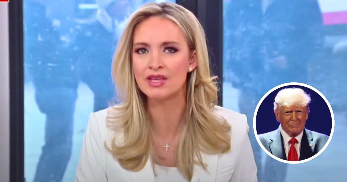 Kayleigh McEnany said the historians who placed Donald Trump last on the list are 'ivory tower elites' (Fox News, Getty Images)