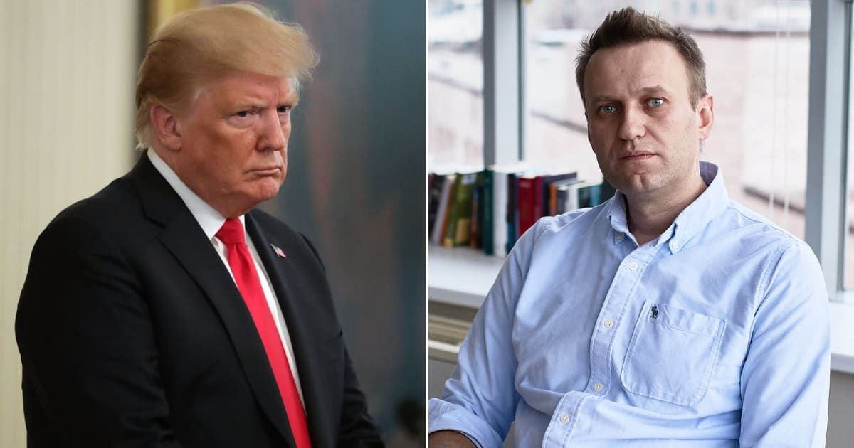 Former President Donald Trump drew paralles between his legal battles and Russian opposition leader Alexei Navalny's plight (Oleg Nikishin/Epsilon/Getty Images)