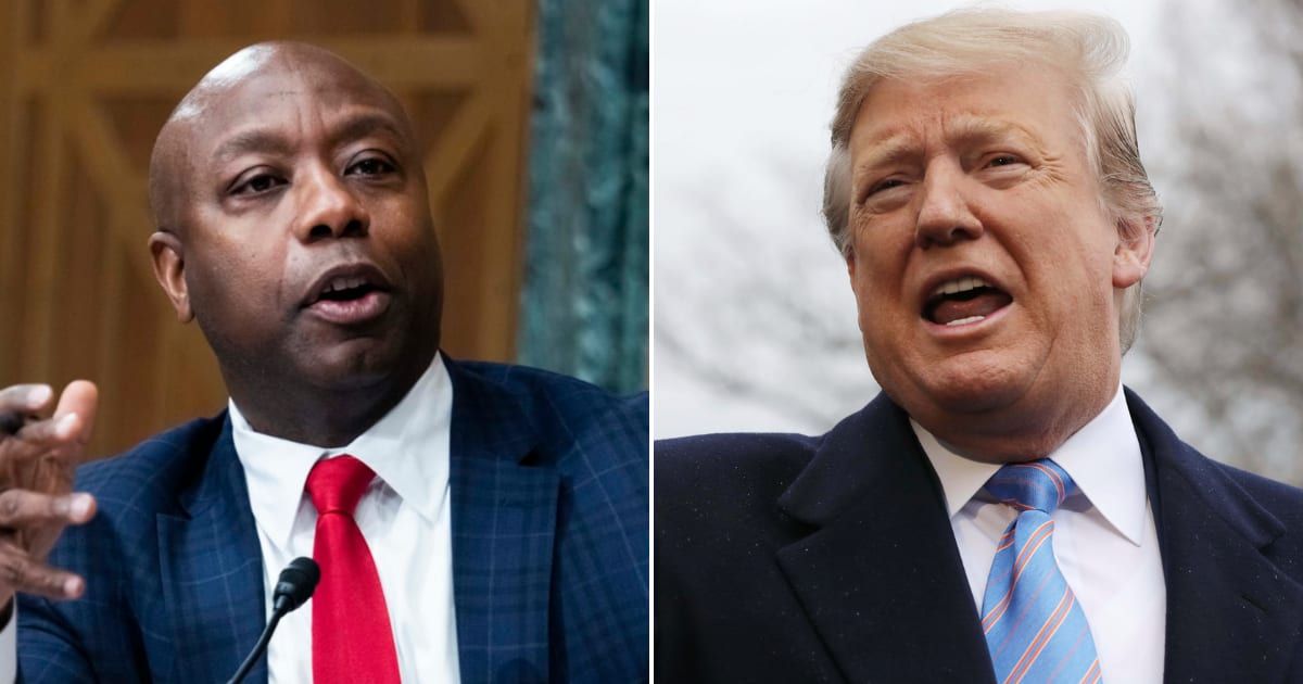 Donald Trump hinted at Senator Tim Scott (R-SC) as a potential running mate on Tuesday (Getty Images)