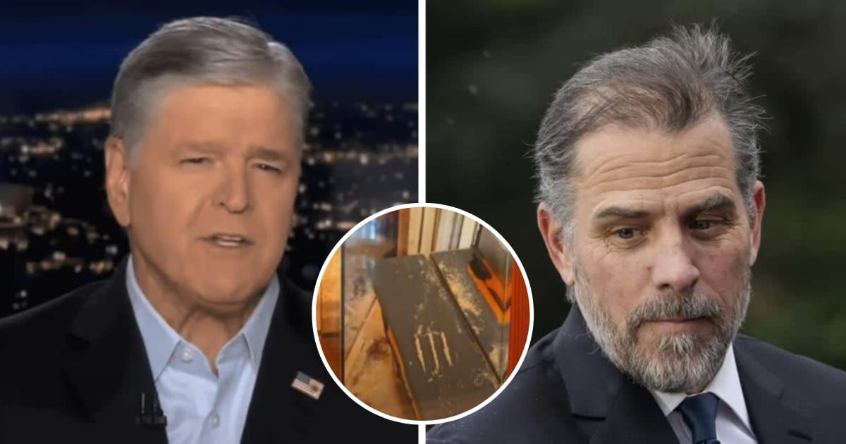 Sean Hannity asked viewers if the photo from Hunter Biden's phone was that of cocaine lines (Fox News/YouTube, Getty Images)