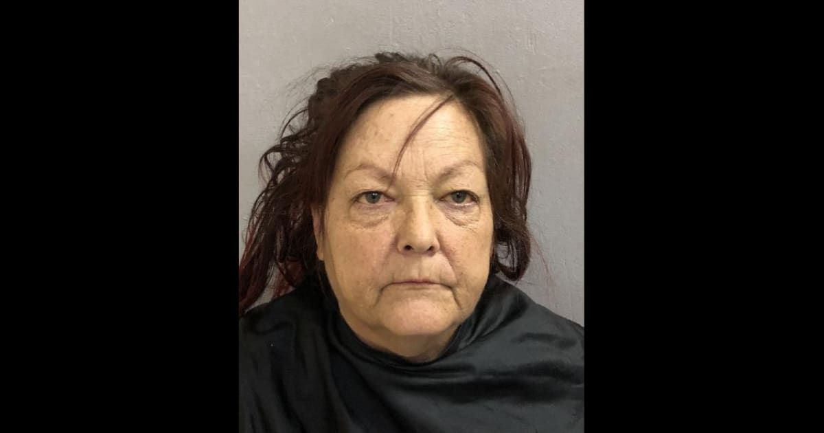 Jill L Houchens was taken into custody and charged with 27 felonies and 119 misdemeanor criminal counts (Cochise County Sheriff's Office)