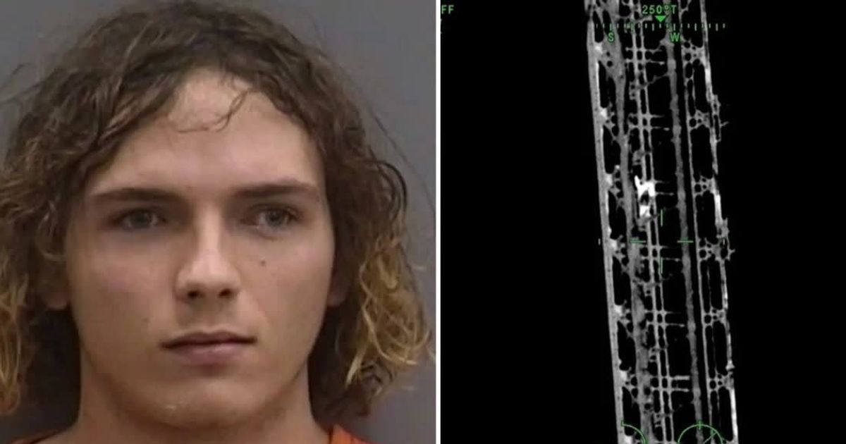 'Did he fry his brain?’: Internet chuckles as video emerges of teen climbing cell phone tower in Florida and livestreaming it