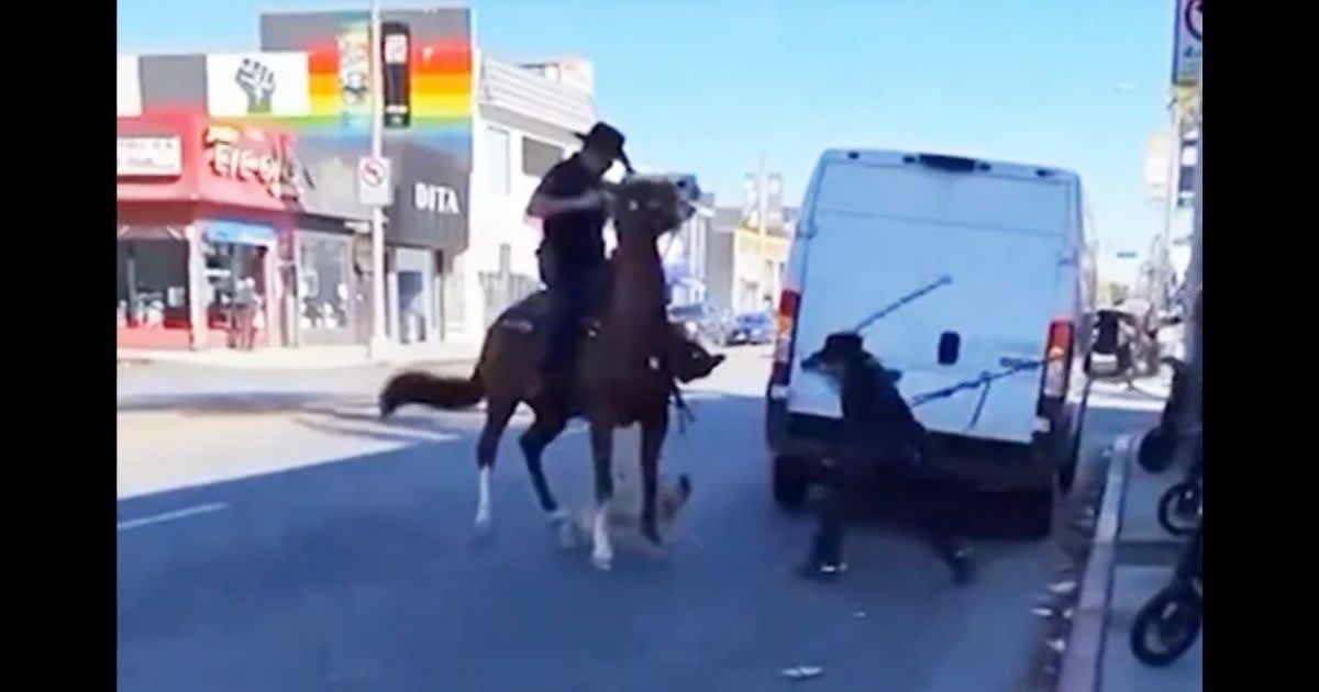 'He did what he could': Internet supports LAPD officer who used baton to defend police horse against unleashed dog