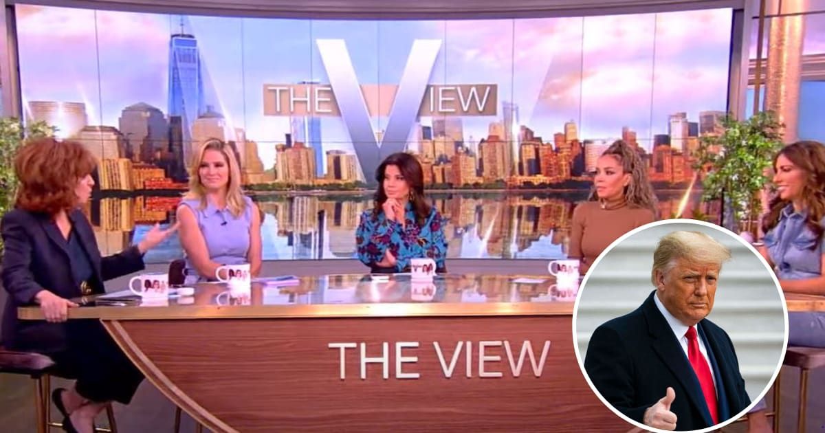 'The View' panal critiqued former President Trump's concerns about foreign languages amid the border crisis(The View/Getty)