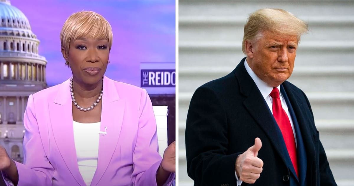 MSNBC's Joy Reid voiced profound apprehension over Donald Trump's potential return to the presidency (MSNBC/Youtube/Getty)