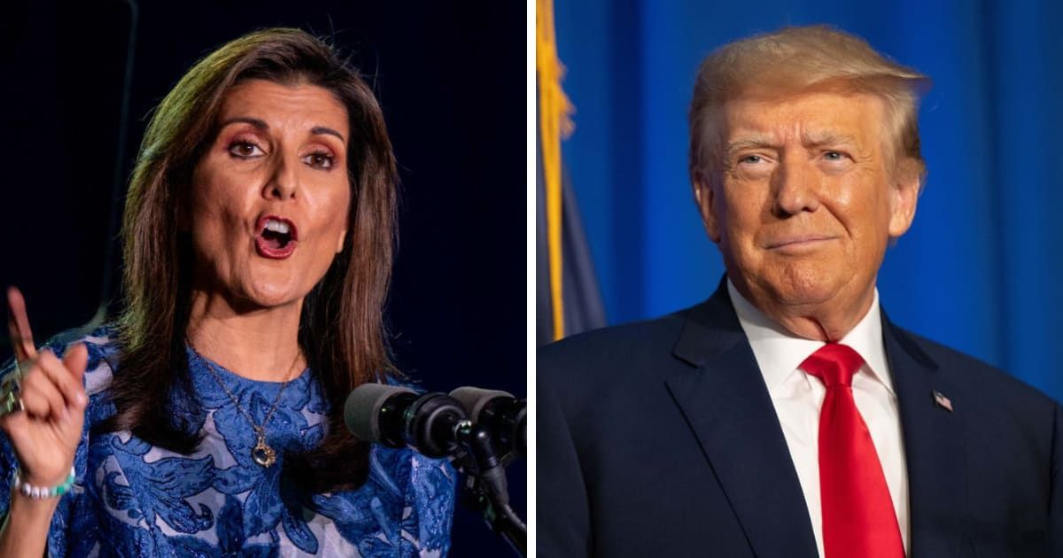 Nikki Haley targeted Donald Trump over GOP's recent election defeats (Brandon Bell/Getty Images, Getty Images)