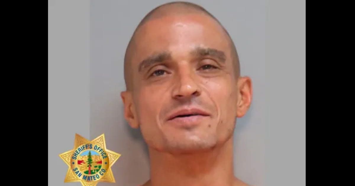 Mark Mechikoff was arrested after allegedly recording himself stabbing a woman to death and sharing the video on Facebook (San Mateo County Sheriff's Office)