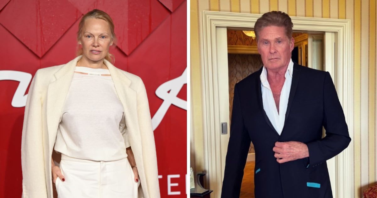 Cast members Pamela Anderson and David Hasselhoff left their mark on the hit series 'Baywatch' (Getty Images, @davidhasselhoff/Instagram)