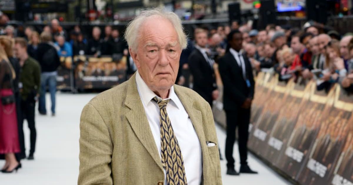 Sir Michael Gambon's will leaves his assets to his wife, excluding his long-term girlfriend and sons (Dave J Hogan/Getty Images)
