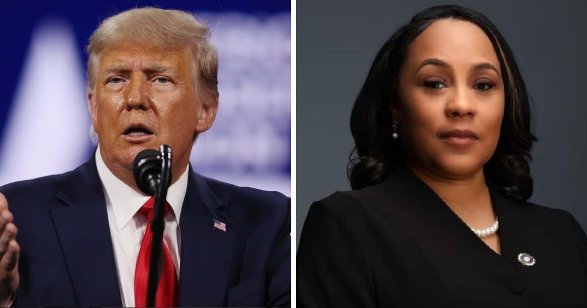 Donald Trump has brought forward scathing claims against Fani Willis (Getty Images, @FaniforDA/X)