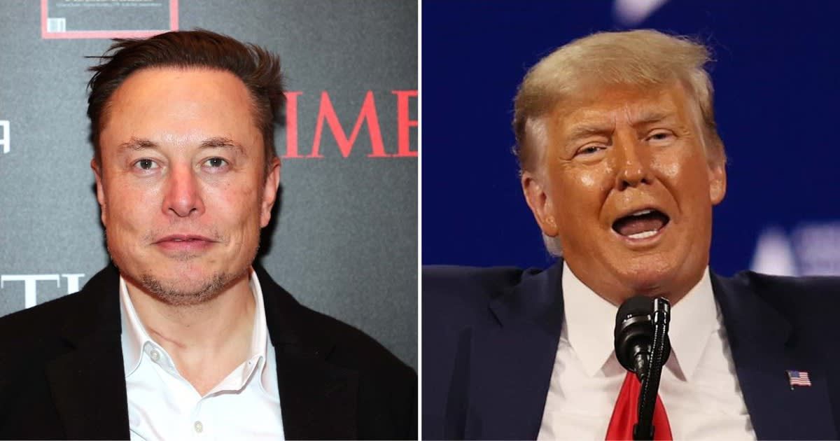 Donald Trump met with Elon Musk in Florida (Getty Images)