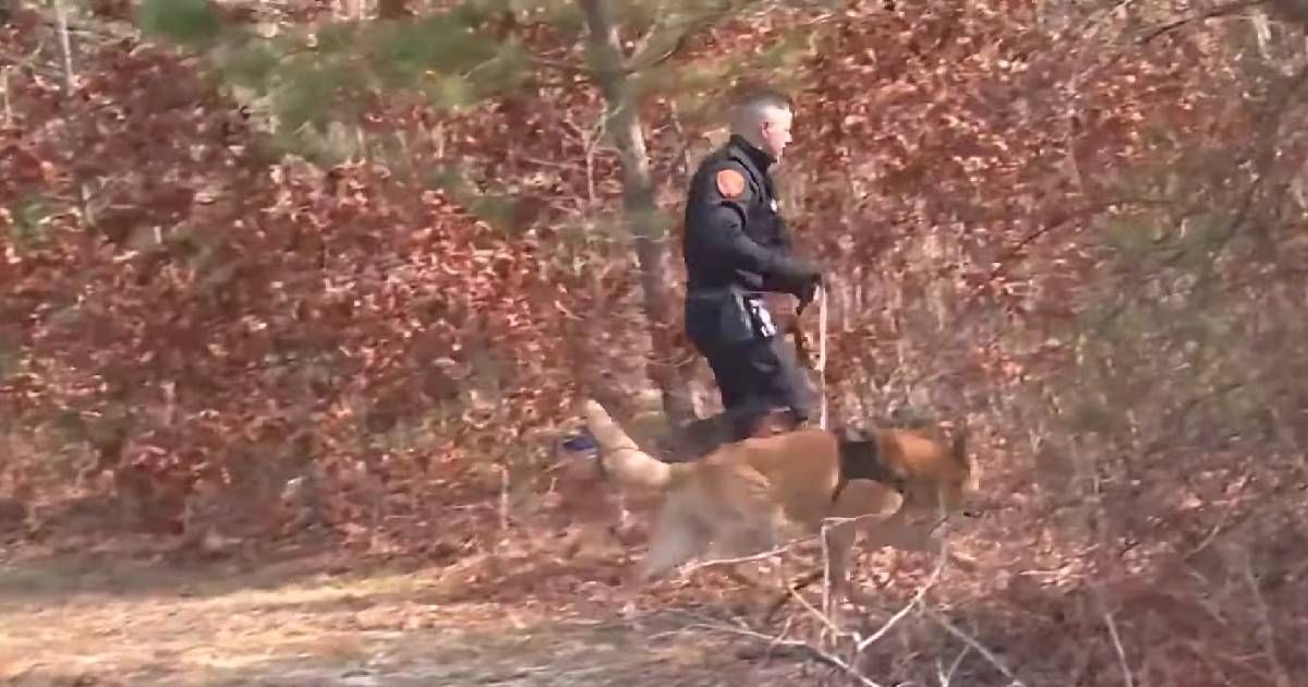 Police officials found human remains scattered across Long Island (NBC News/ YouTube)