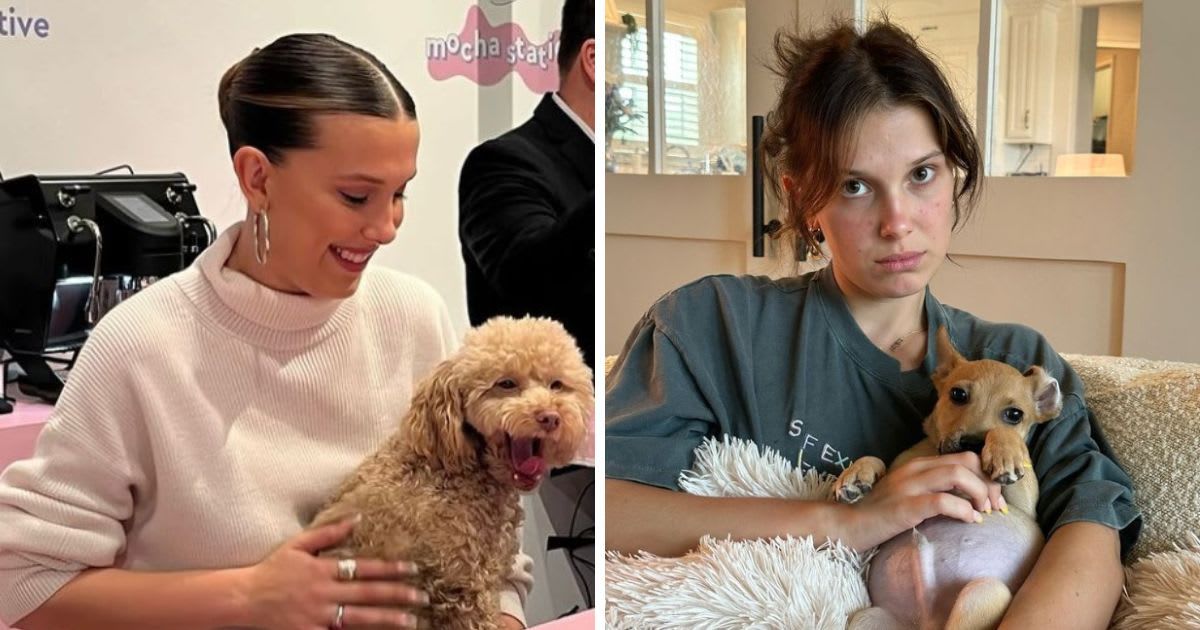 Millie Bobby Brown shares she has nine dogs (Instagram/@milliebobbybrown)