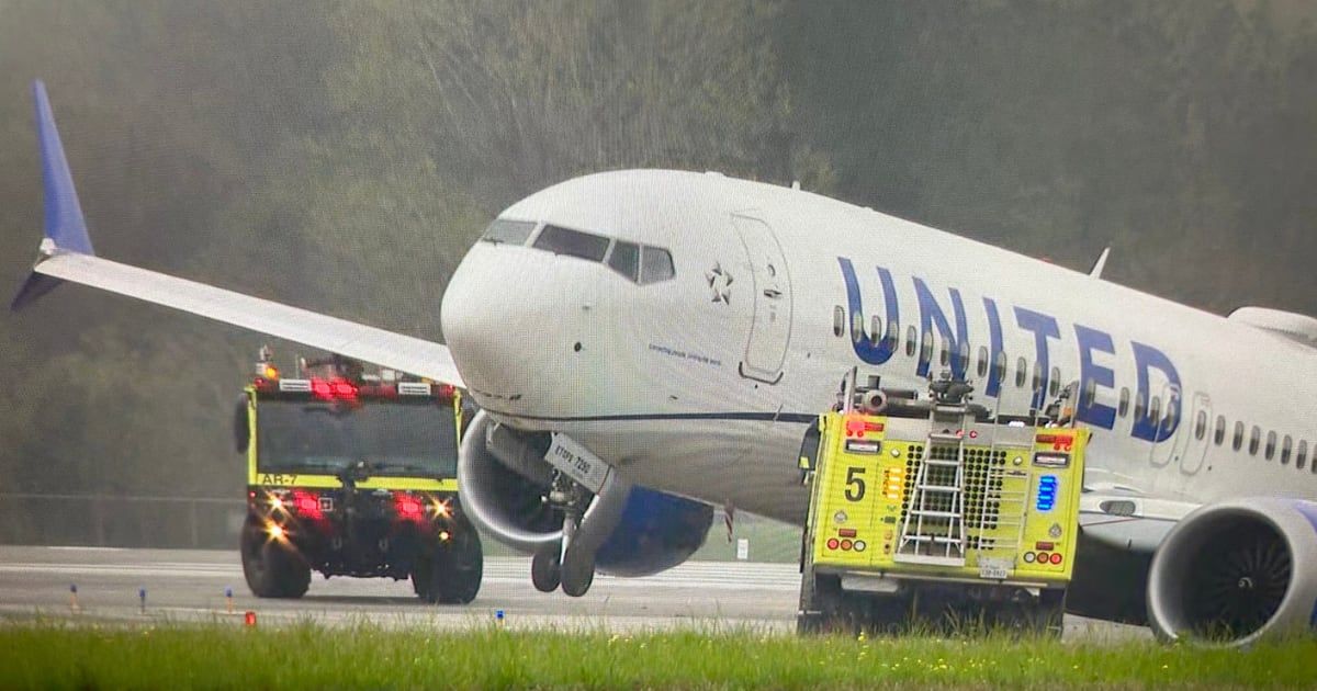 'Hire the right people': Internet outraged as United plane skids off Houston airport runway after landing