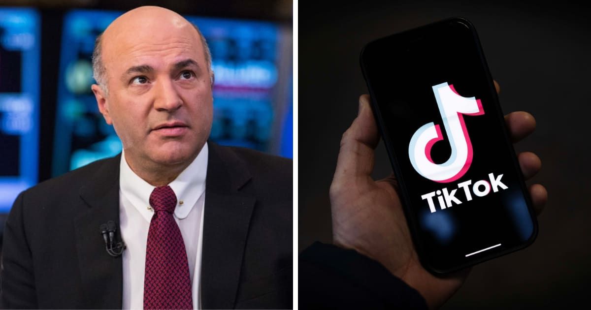 Kevin O’Leary's bold assertion about buying TikTok was made during an appearance on Fox News' 'The Story' (Getty Images)