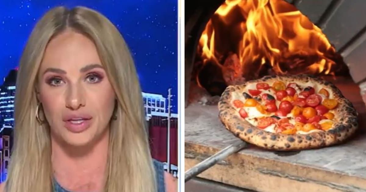 Conservative commentator Tomi Lahren condemned new climate regulations affecting pizzerias in New York City (Fox News)