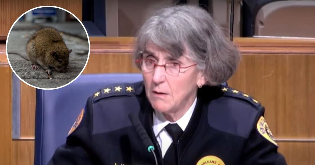 Anne Kirkpatrick shed light on the rat infestation problem in NOPD HQ (Getty Images, CBS Chicago/YouTube)