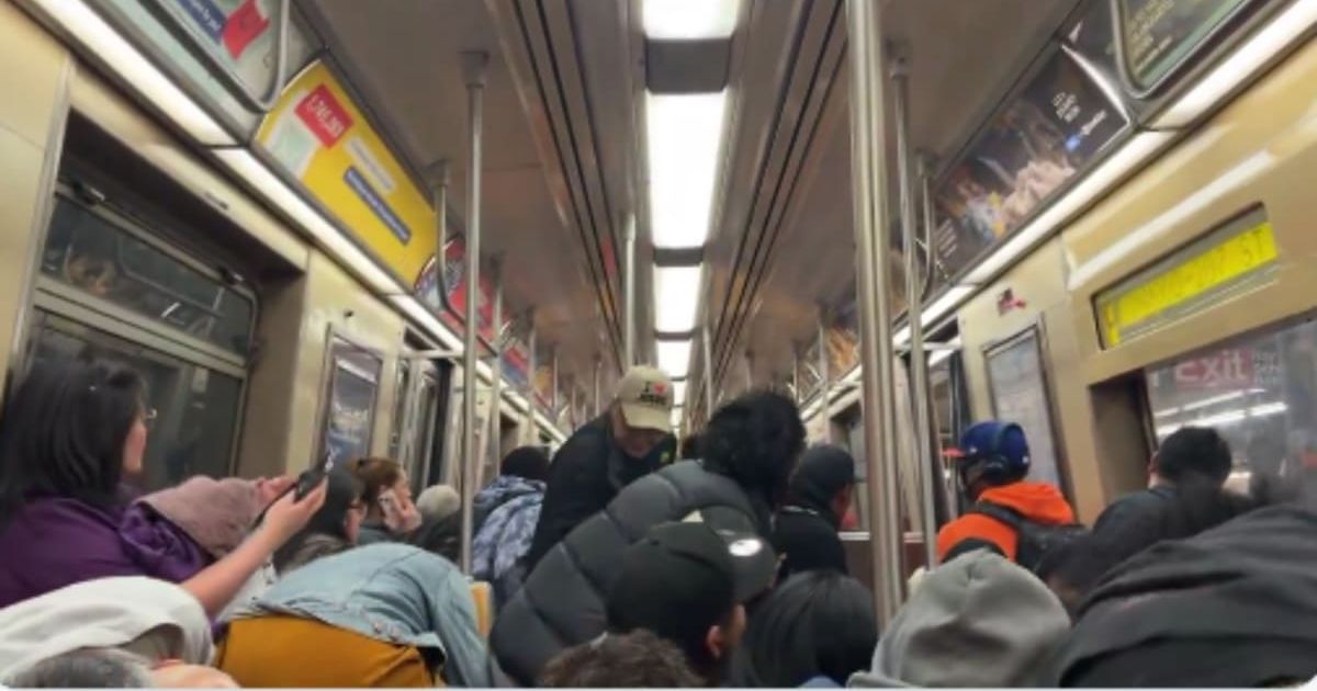 The shooting occurred on a northbound A train in Brooklyn shortly after 4.45 pm, when a verbal dispute between two strangers escalated into a fight (@thinking_panda/X)