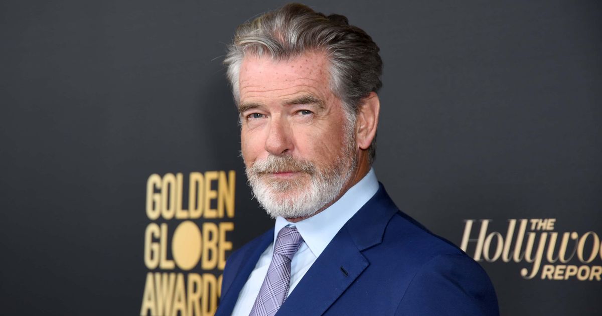Pierce Brosnan was ordered to pay $500 as a fine and $1,000 as a donation to Yellowstone Forever, a nonprofit organization that helps Yellowstone Park (Getty Images)