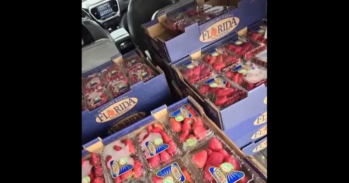 An eight-year-old boy died after eating strawberries from a school fundraiser in Kentucky (WFIE screebgrab) 