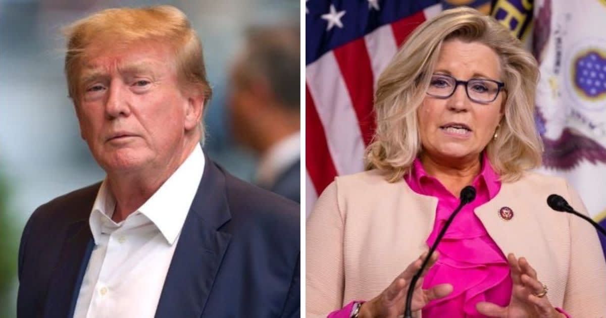 Donald Trump and Liz Cheney sparred on social media (Getty Images)