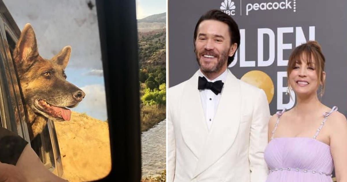 Kaley Cuoco and Tom Pelphrey are grieving the loss of their cherished dog Blue (Getty Images, Instagram/@tommypelphrey)