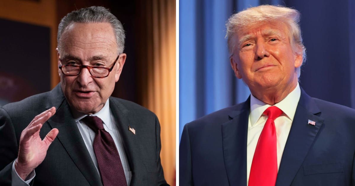 Sen Chuck Schumer condemned Donald Trump's 'antisemitic' remarks against Israel (Getty Images)