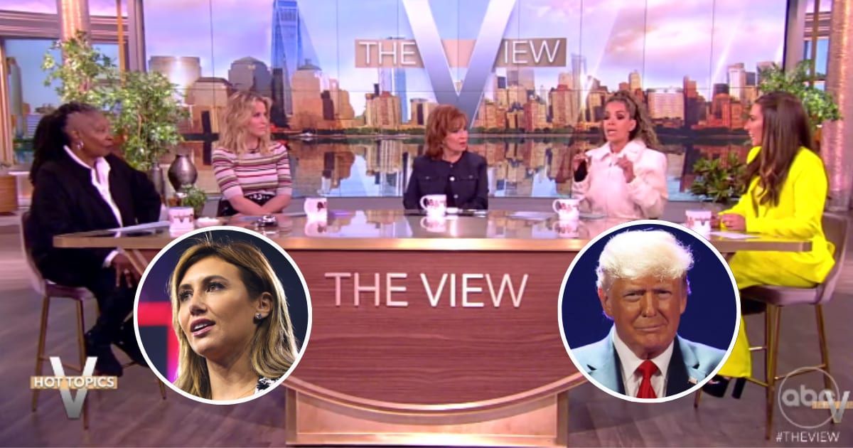 'The View' hosts were slammed by Donald Trump's lawyer Alina Habba (@TheView/YouTube, Wikipedia, Getty Images) 