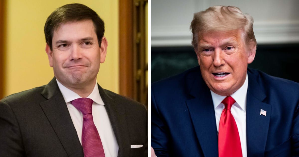 Sen Marco Rubio upheld Donald Trump's claims on presidential immunity (Getty Images)
