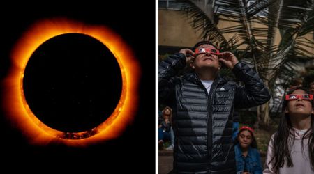 'Time to dial back the crazy': Internet abuzz as solar eclipse conspiracy theories sweep across US