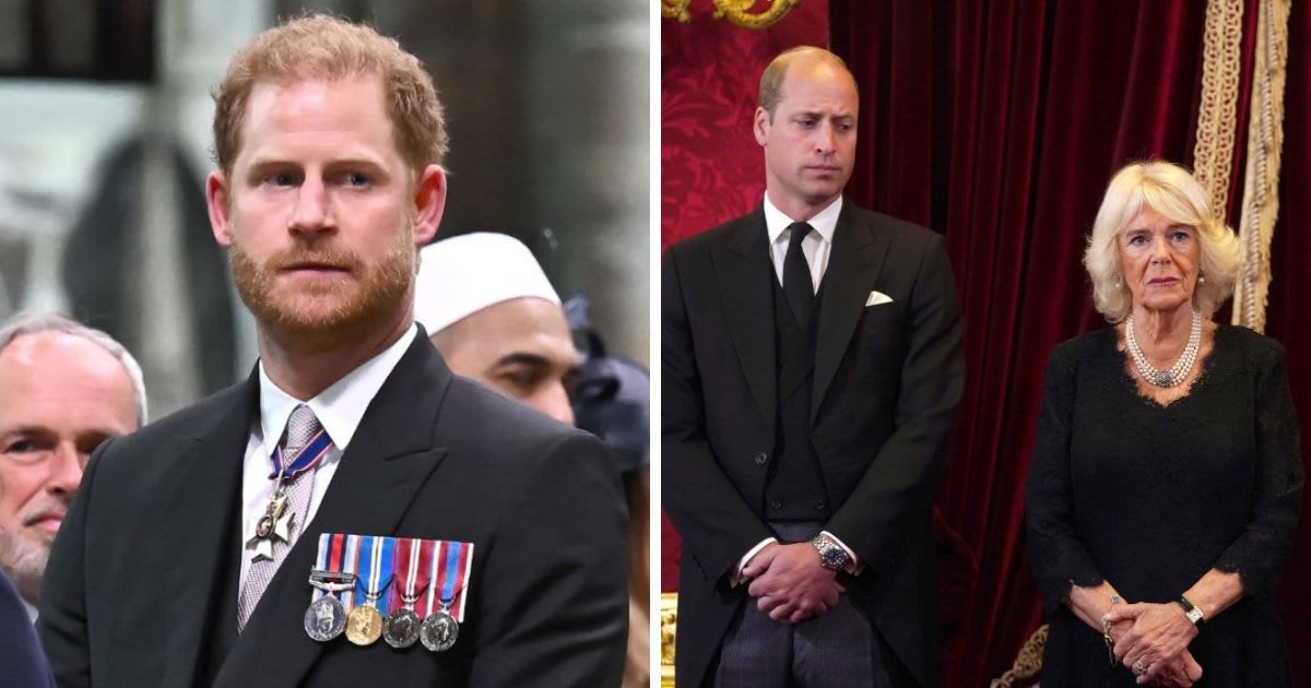 Prince Harry reportedly feels betrayed by Prince William's closeness with their stepmother Queen Camilla (Getty Images)
