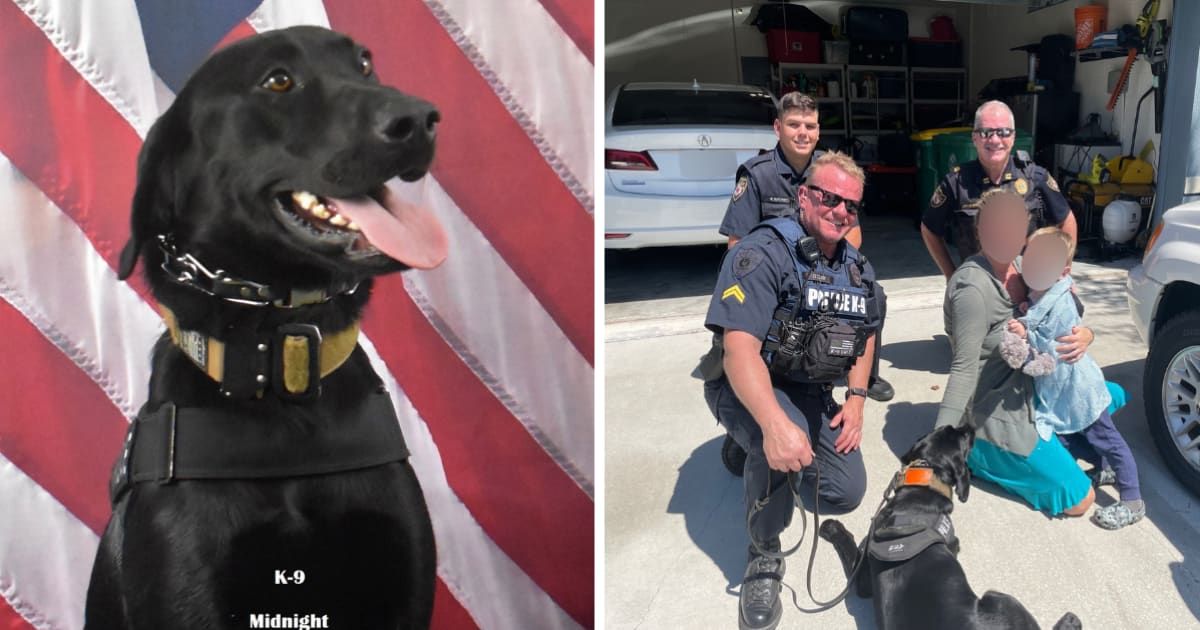 K-9 Midnight has been with the Florida police department since 2022 (Facebook/DeLand Police Department)