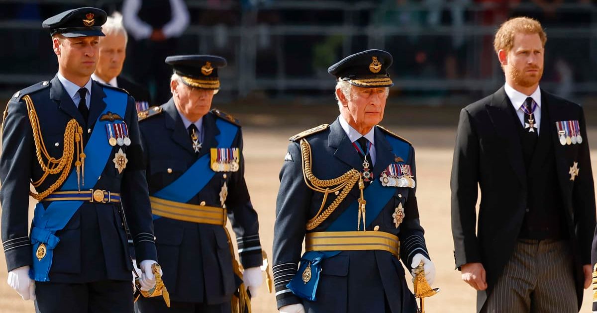 Prince Harry's decision to meet or not meet his family in May has sparked debate among social media users (Getty Images)