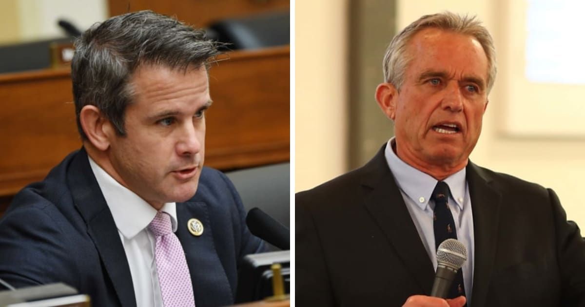 Adam Kinzinger slammed Robert F Kennedy Jr's for sympathizing with Capitol Hill rioters (Getty Images)