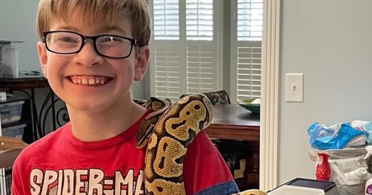 Sebastian Rogers left his family house with a flashlight on February 26 and has been missing since (TBI)