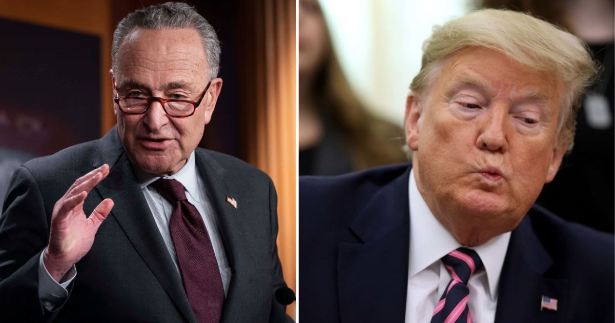 Chuck Schumer placed the blame for the 'annihilation of Roe v Wade' squarely on Trump and the GOP (Getty Images)