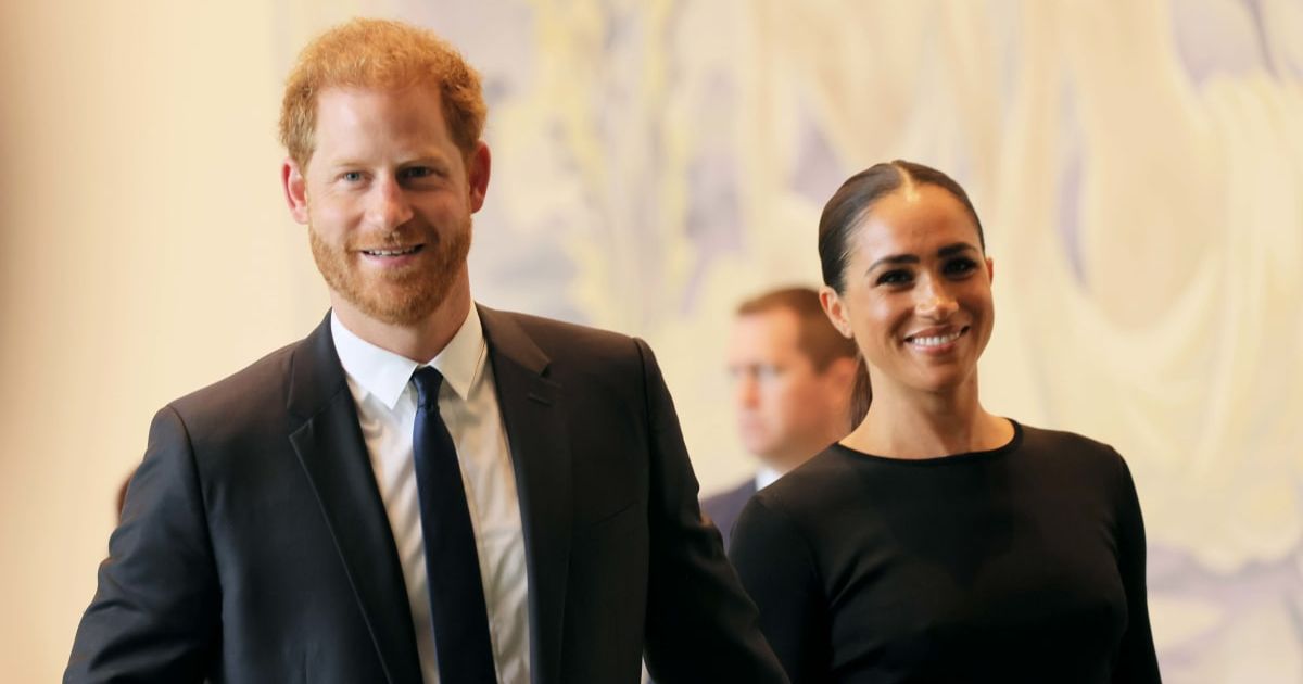 Prince Harry and Meghan Markle's most recent career move is a surprising political decision (Michael M Santiago/Getty Images)