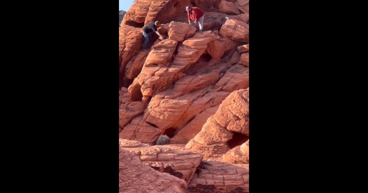 'Prosecute them': Internet blasts vandals for destroying preserved natural rock formations at Nevada national park